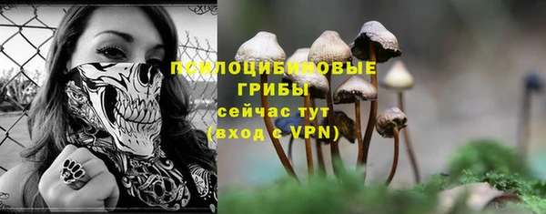 амф Белокуриха