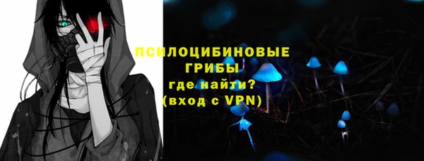 амф Белокуриха