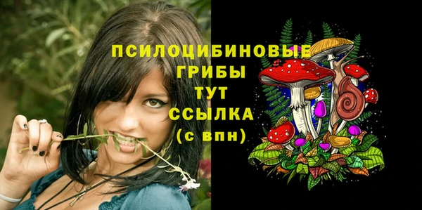 амф Белокуриха
